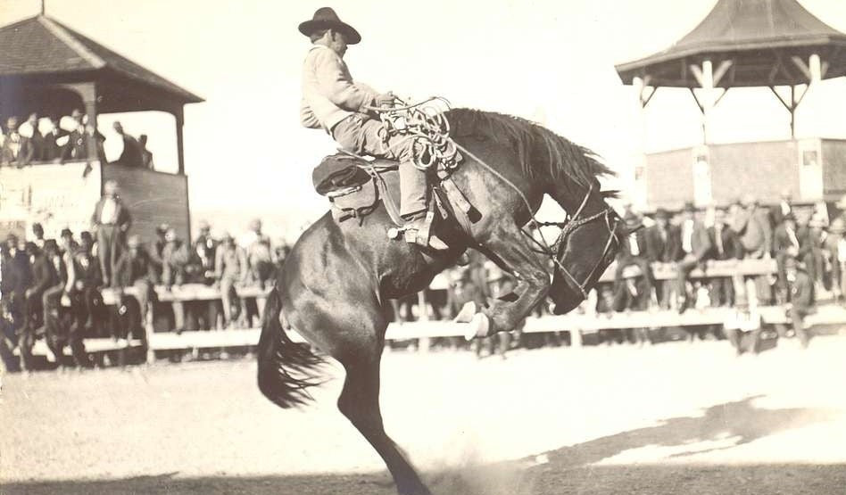 The Bucking Horse: An American Icon Worth Arguing Over